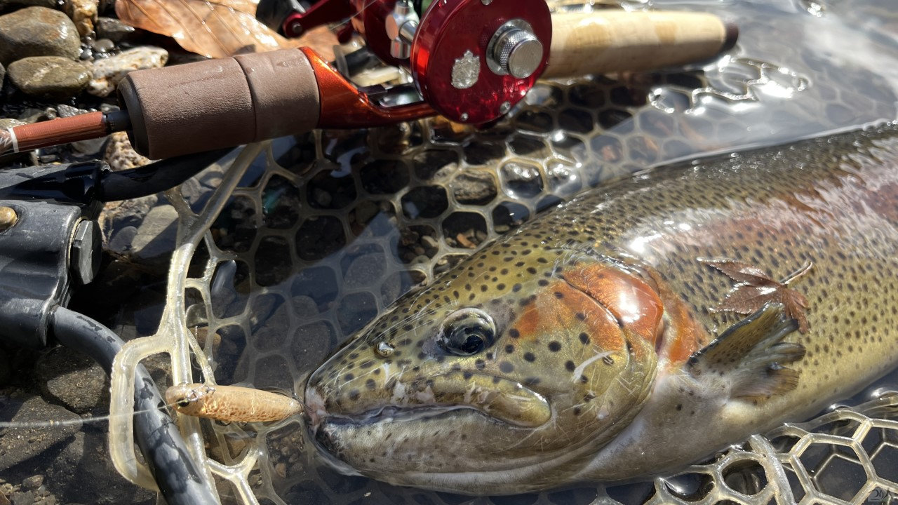 アンバサダー2500Cを主役に抜擢した渓流ベイトフィネスの仕掛人 第2回